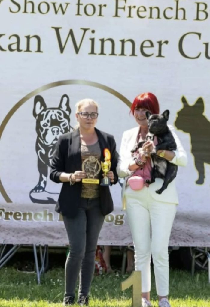 Imperatore, french bulldog, dog show