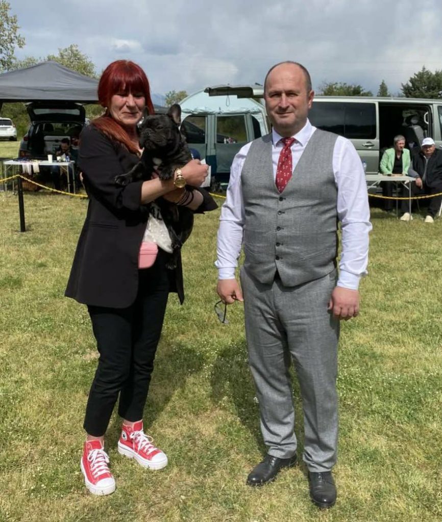 Imperatore, french bulldog, dog show