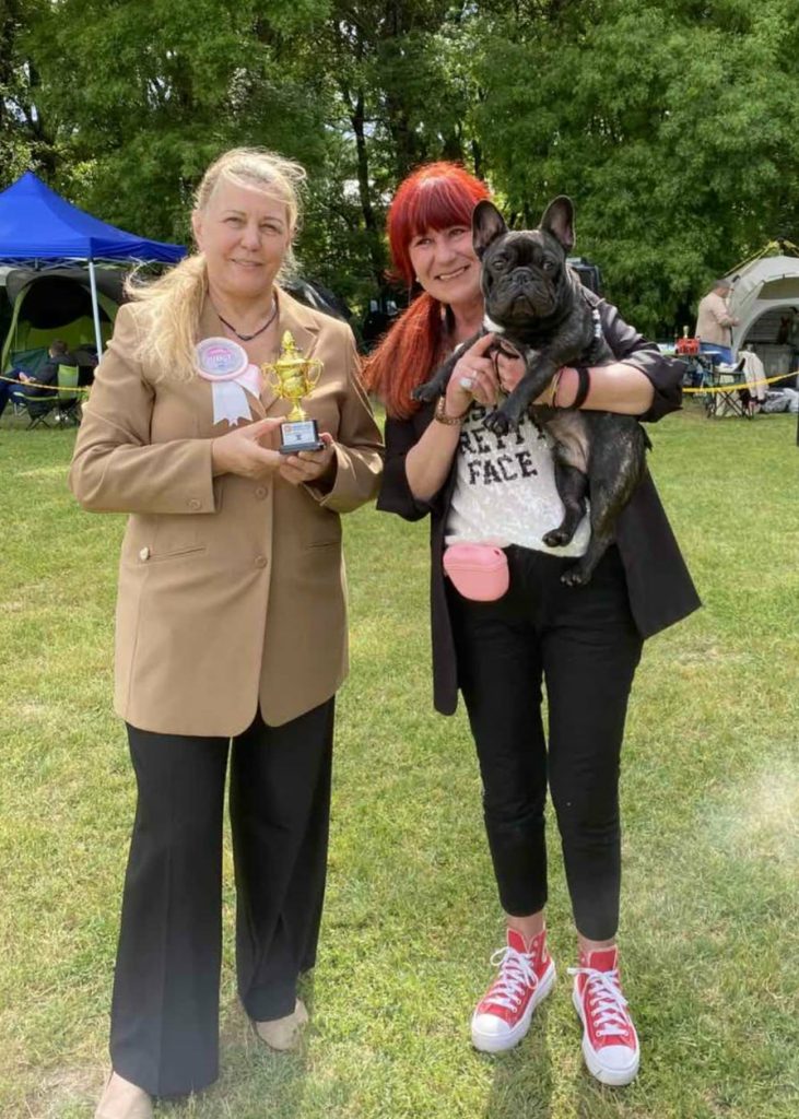 Imperatore, french bulldog, dog show